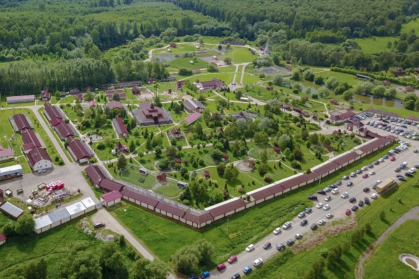 Парк птиц воробьи Калужская область