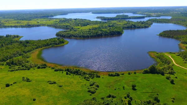 Озеро Локново Локнянский район