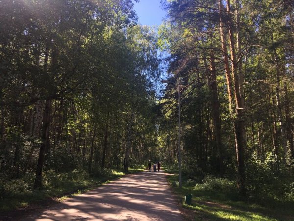 Балатовский парк Пермь