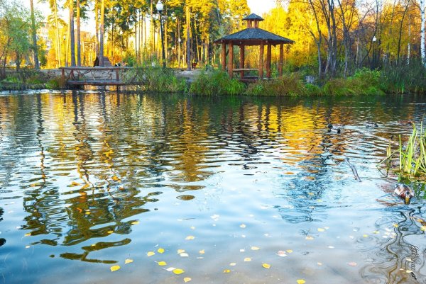 Золотые Пески Пермь