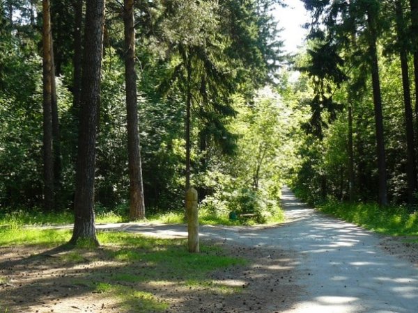 Балатовский парк Пермь Поляна