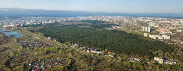 Балатовский парк Черняевский лес Пермь