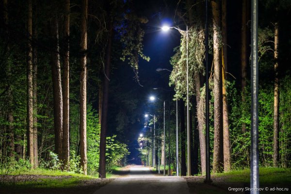 Балатовский парк Черняевский лес Пермь