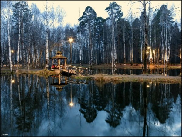 Черняевский лесопарк Пермь