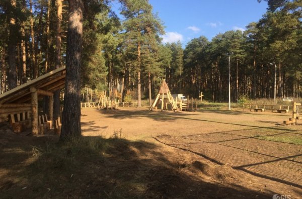 Черняевский лес Пермь, золотые Пески