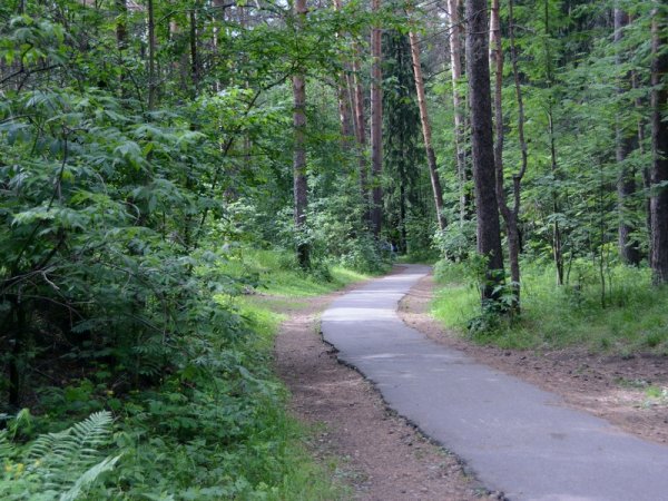 Балатовский парк Черняевский лес Пермь
