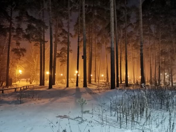 Балатовский парк Пермь