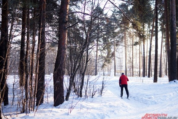 Черняевский парк Пермь