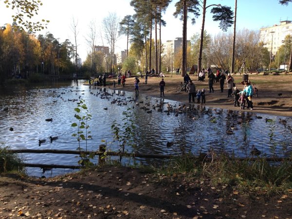 Балатовский парк Пермь пруд