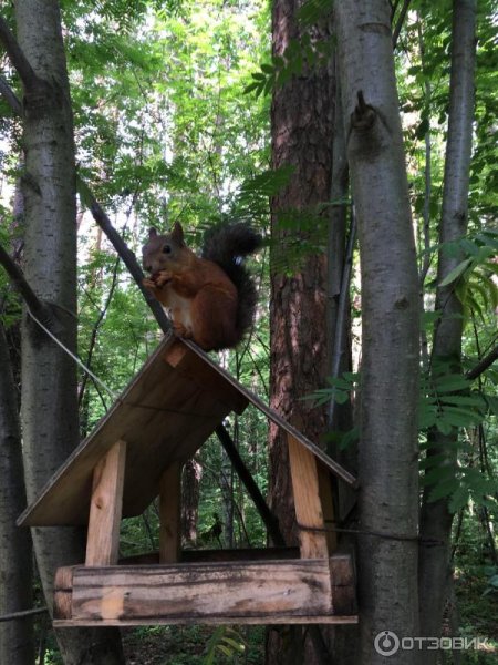 Балатовский парк Пермь пруд