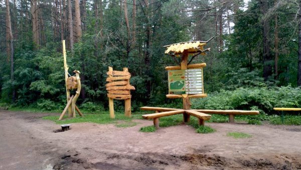 Черняевский парк Пермь