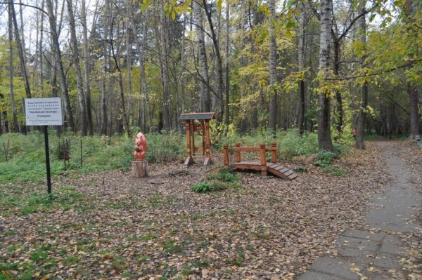 Черняевский лесопарк Пермь