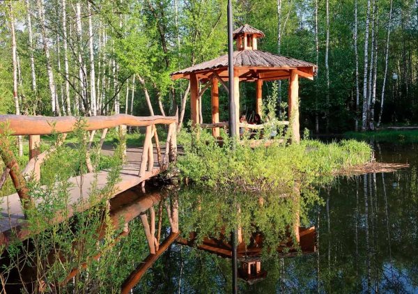 Черняевский лесопарк Пермь