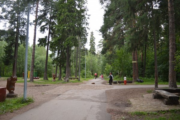 Солнечная Поляна Пермь Балатовский парк