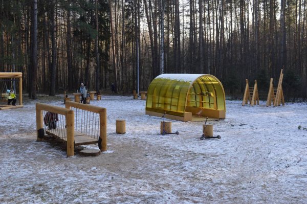 Лесная библиотека в Черняевском лесу