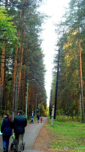 Балатовский парк Пермь