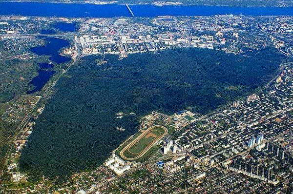 Черняевский лес Пермь