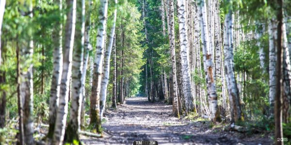 Чернявский парк Пермь