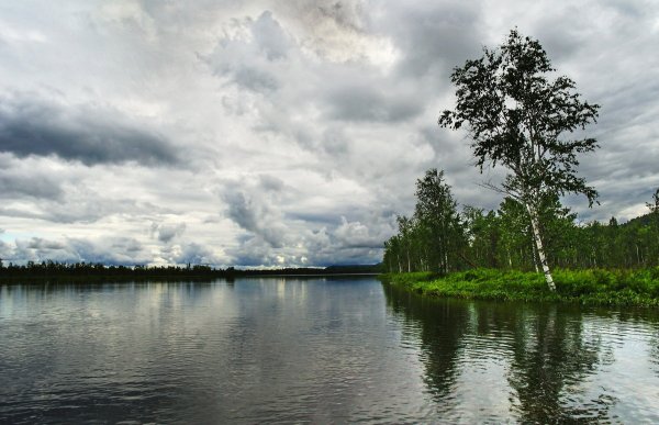 Простейшие в озере