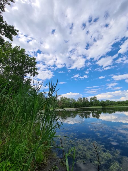 Красивый берег озера