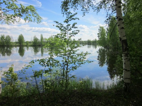 Озеро простое