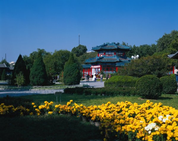 Температура в Пекине летом