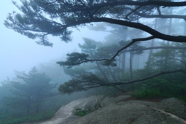 Евгений Тимашёв пейзаж в кадре