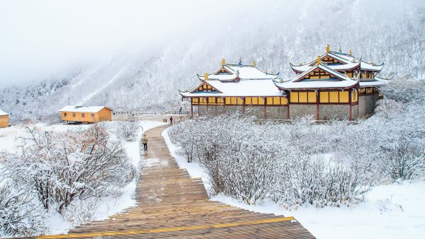 Природа Северного Китая