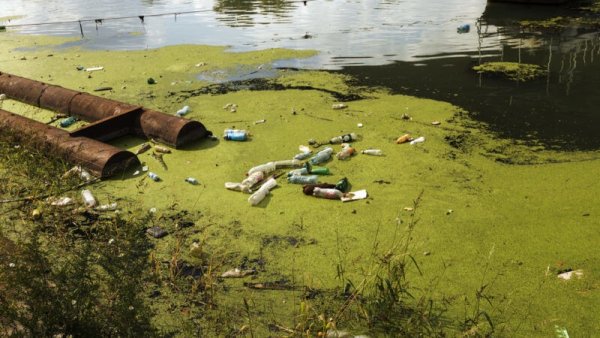 Загрязненные водоемы