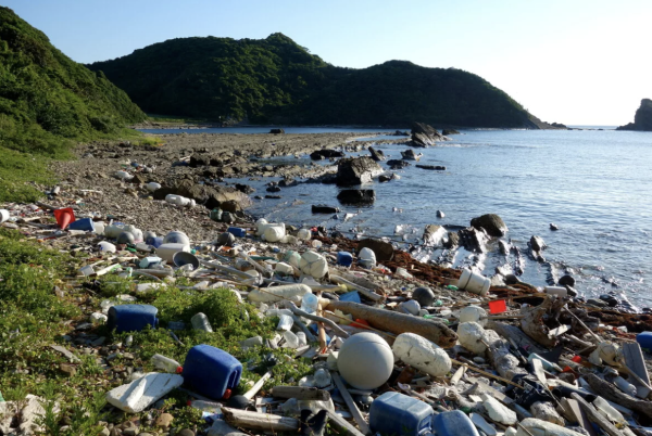 Загрязненный Байкал