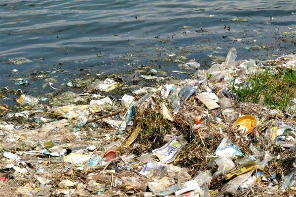 Загрязнение рек