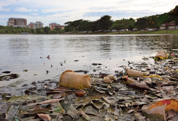 Загрязнение водоемов