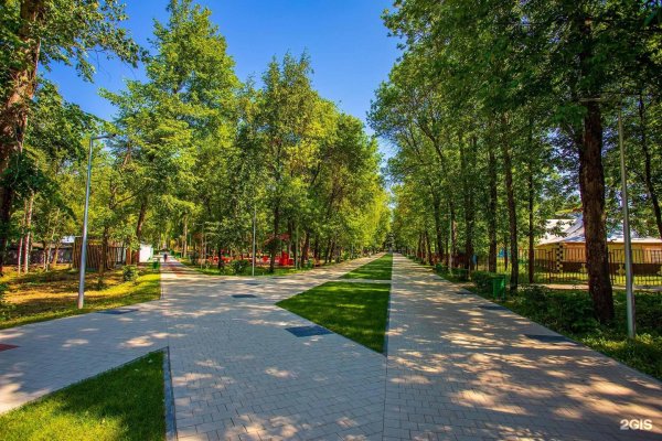 Арзамас парк