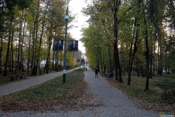 Арзамас парк Гайдара Дендрарий
