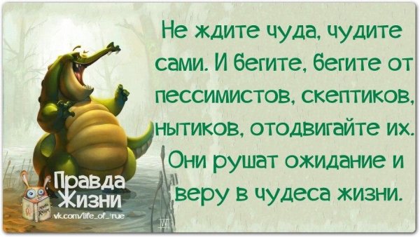 Правда жизни цитаты