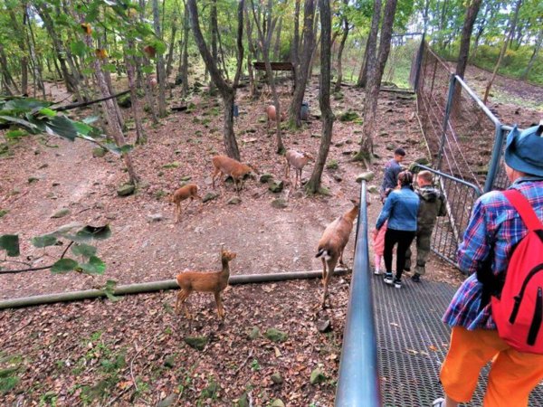 Приморский сафари-парк Приморский край