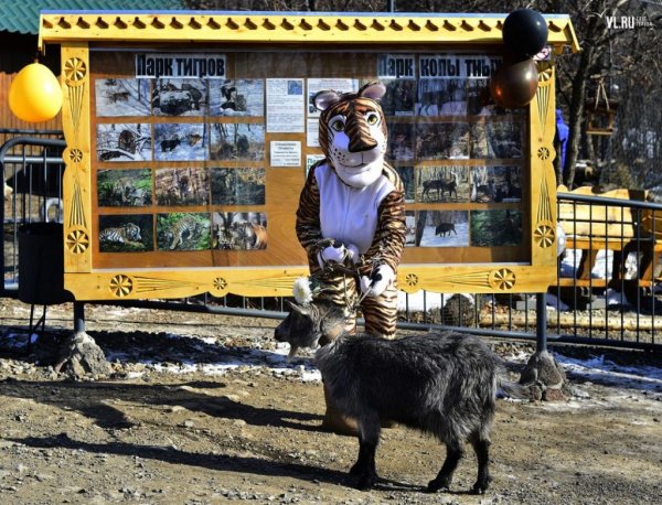 Сафари парк Шкотово Владивосток
