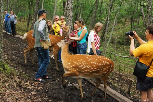 Сафари парк Владивосток