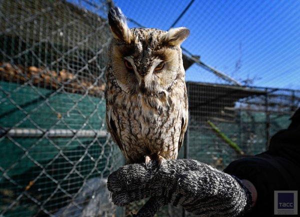 Приморский сафари-парк во Владивостоке