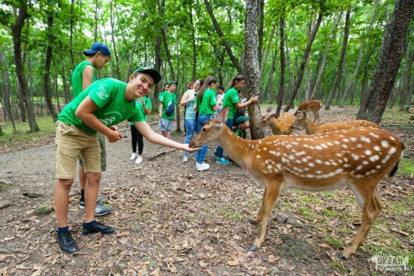 Сафари парк Приморский край Шкотово