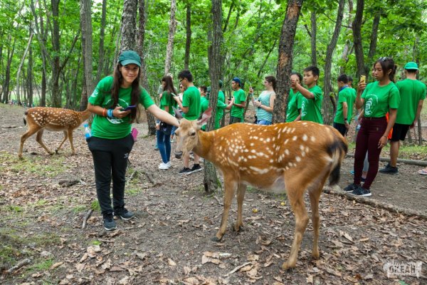 Сафари парк Приморье