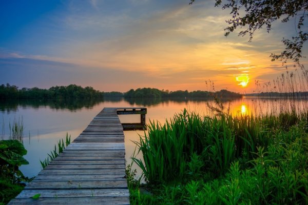 Рассвет на пруду