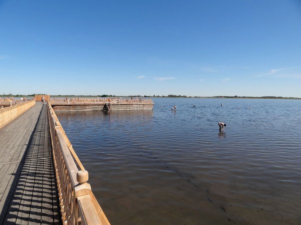 Курортный поселок озеро Карачи Новосибирская область