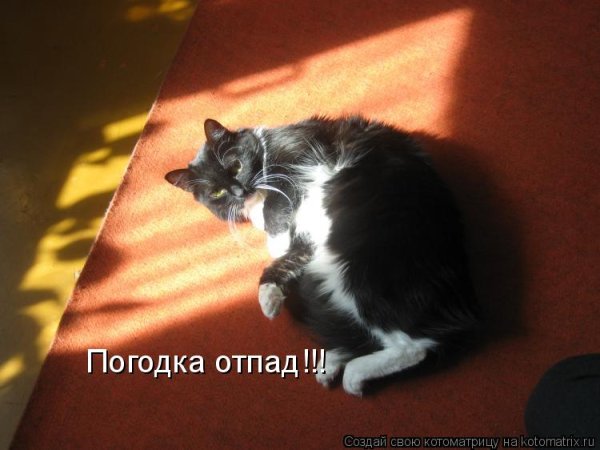 Погодка отпад