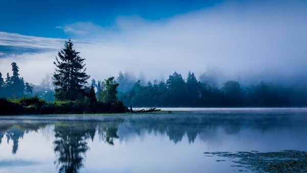 Спокойная природа