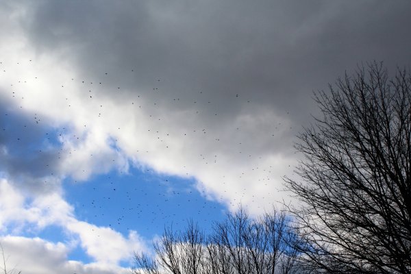 Пасмурно небольшой снег