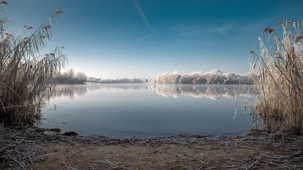 Озеро Винтер Рязанская область
