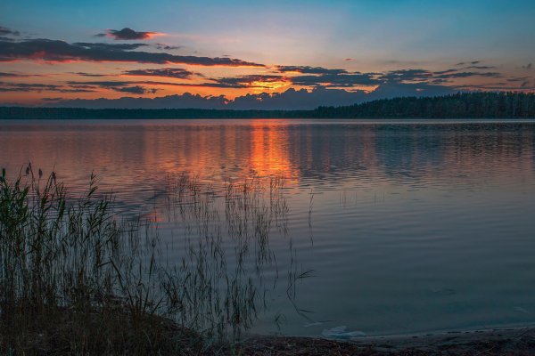 Озеро Убинское Новосибирская область