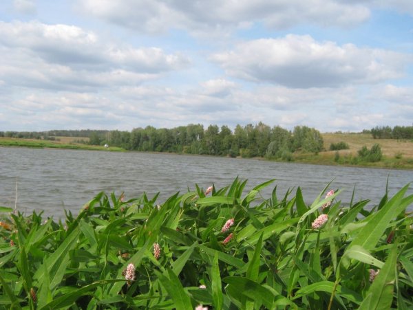 Сафаровка Дергачевского района