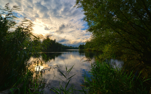 Тихая Лесная заводь